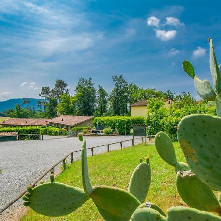 Holiday Home I Pini By Interhome San Macario In Piano Exterior photo